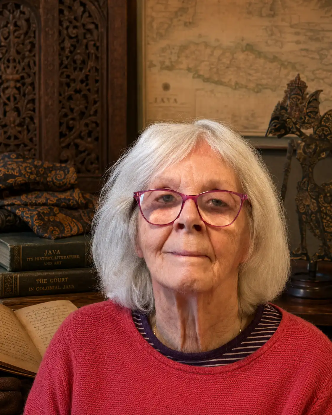 Portrait of Emerita Professor Ann Kumar